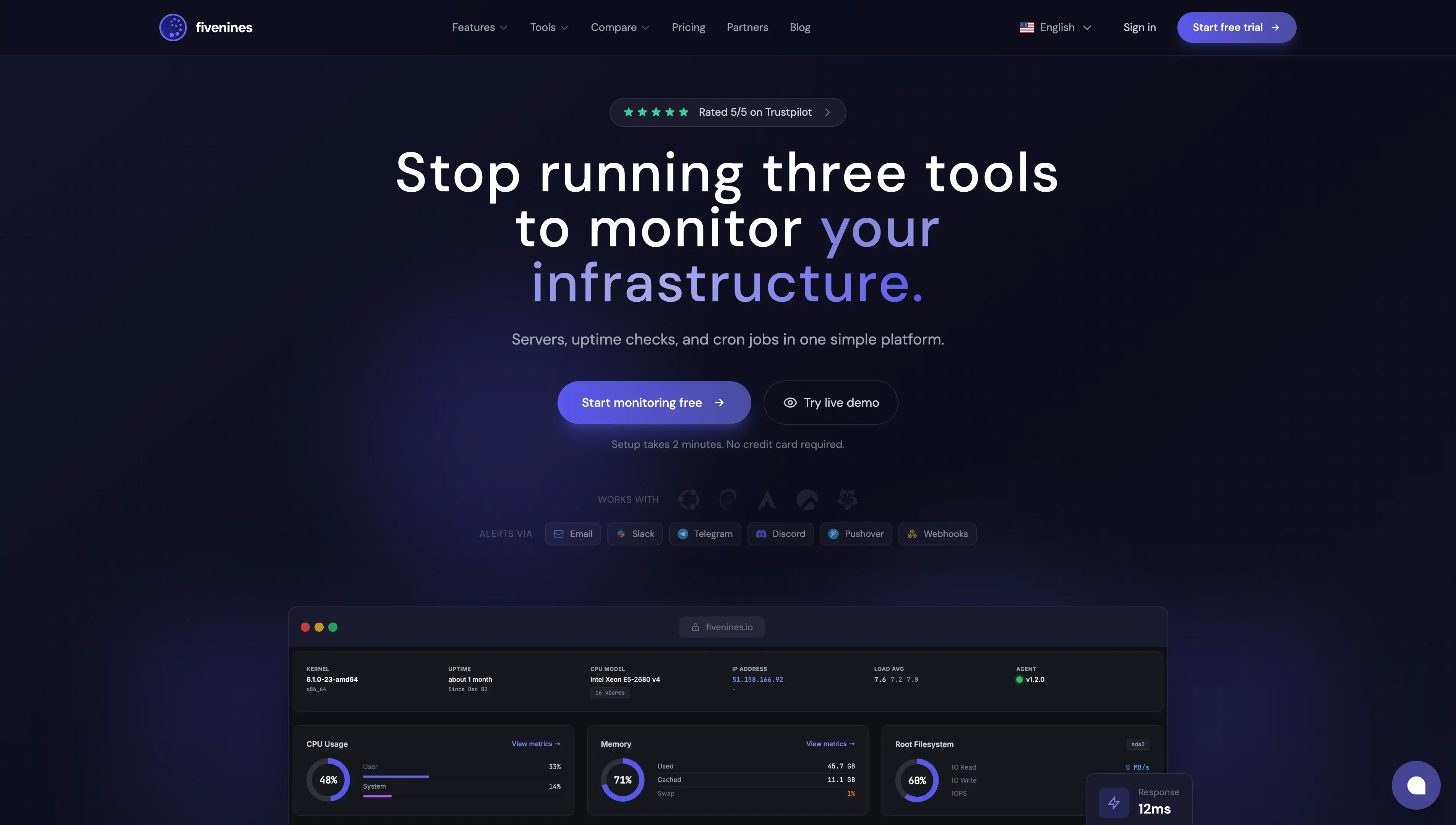 Fivenines server monitoring dashboard showing CPU, memory, disk, and network metrics